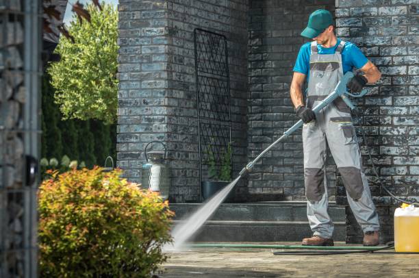 Animal Enclosure Cleaning in Tavernier, FL